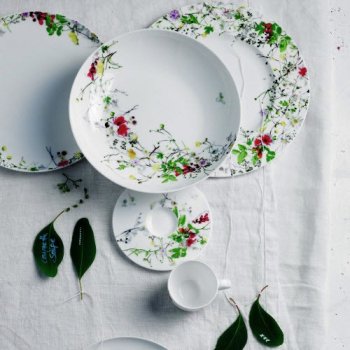 Rosenthal-FleurSauvages_500.jpg